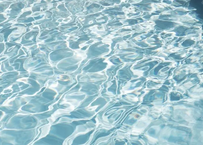 Maison Et Table D'hotes Le Camelia Blanc Gasthof